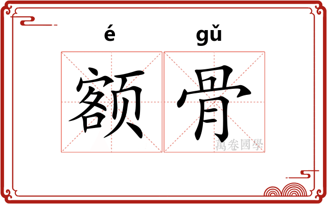 额骨 额骨