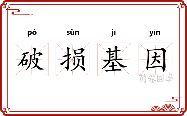 破损基因
