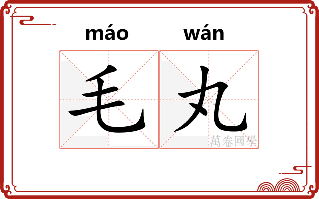 毛丸