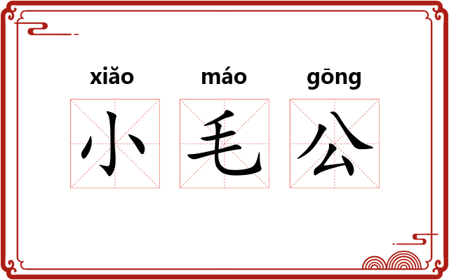 小毛公