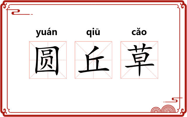 圆丘草
