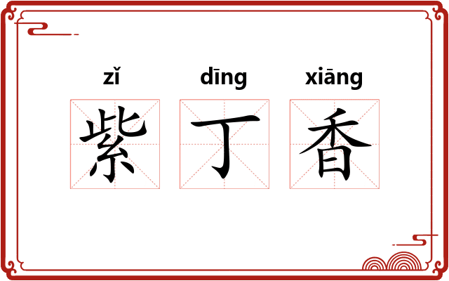 紫丁香