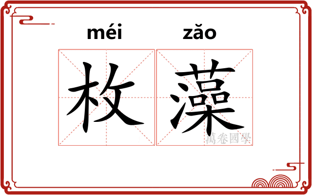 枚藻 枚藻