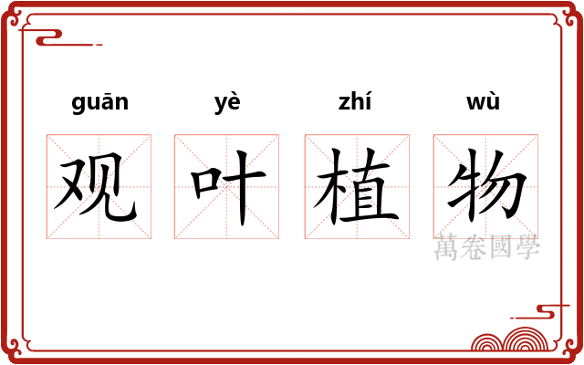 观叶植物