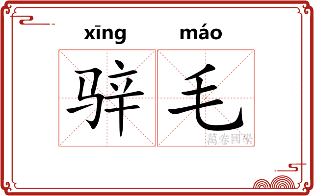 骍毛
