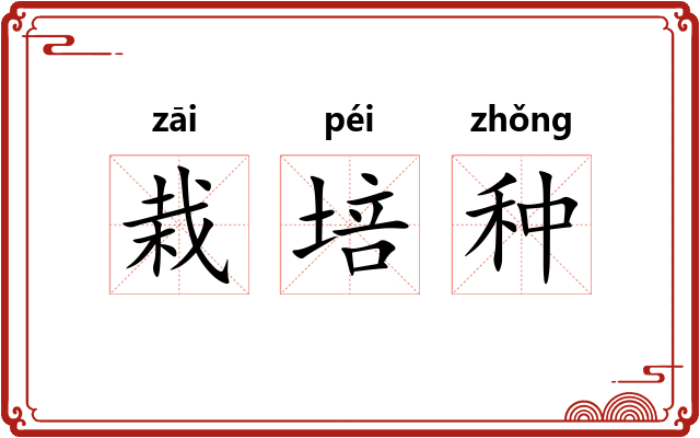 栽培种 栽培种