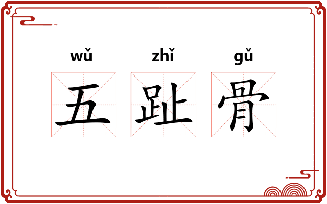 五趾骨
