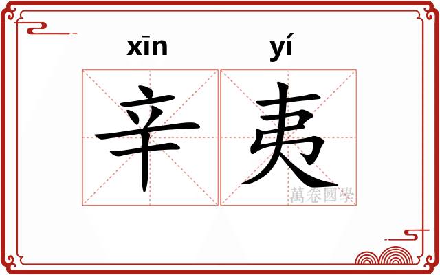 辛夷
