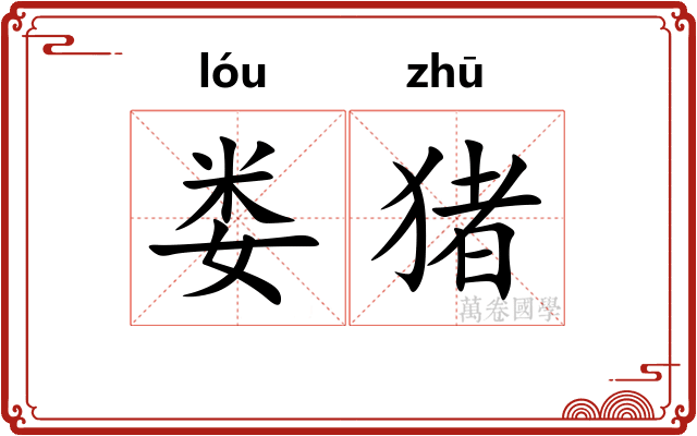 娄猪