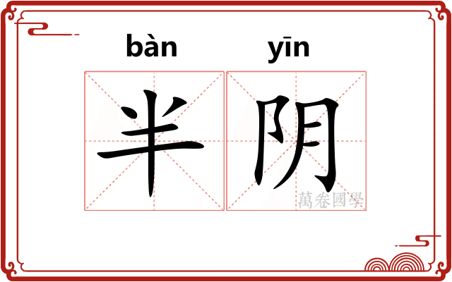 半阴