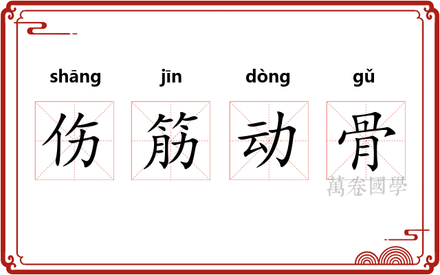伤筋动骨 伤筋动骨
