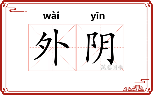 外阴