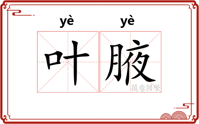 叶腋