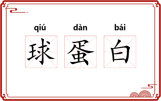 球蛋白