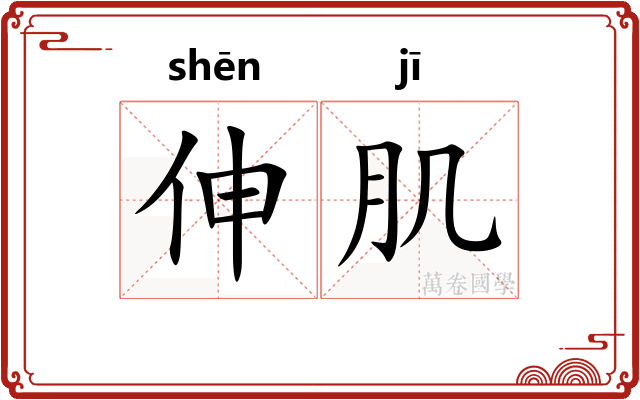 伸肌
