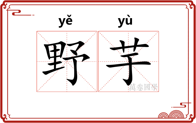 野芋