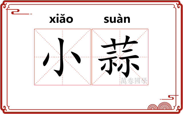 小蒜