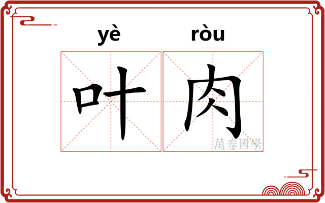 叶肉