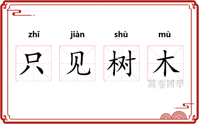 只见树木
