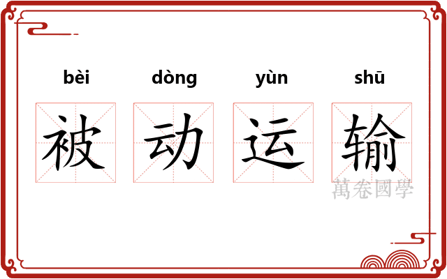 被动运输