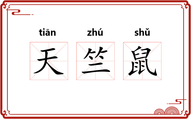 天竺鼠
