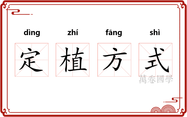 定植方式