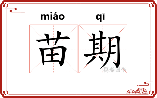 苗期