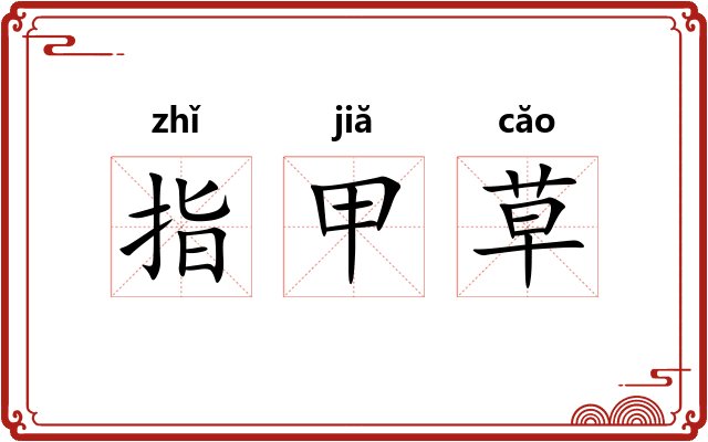 指甲草