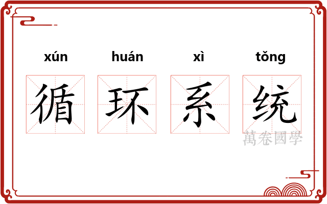 循环系统 循环系统
