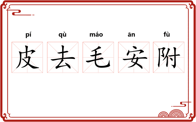皮去毛安附