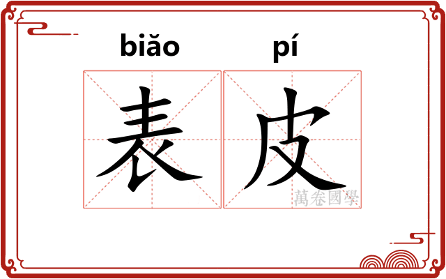 表皮