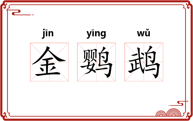 金鹦鹉