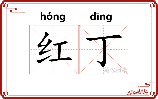 红丁 红丁