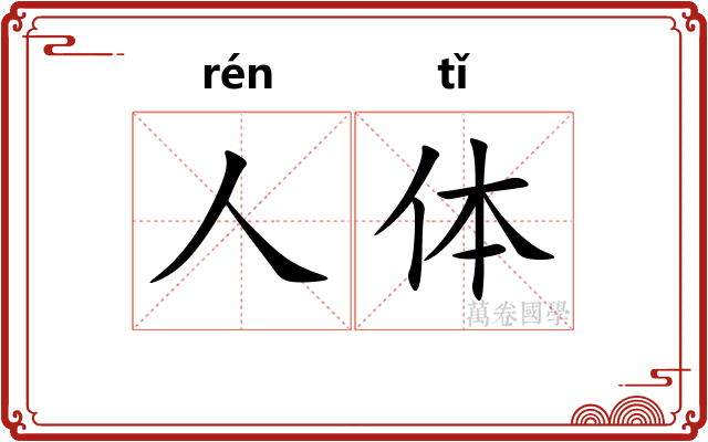 人体