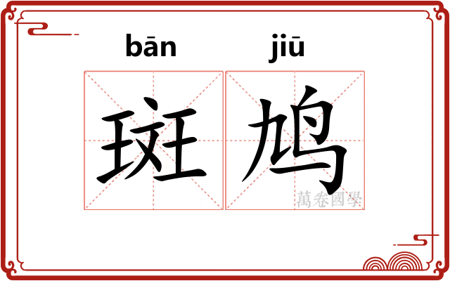 斑鸠