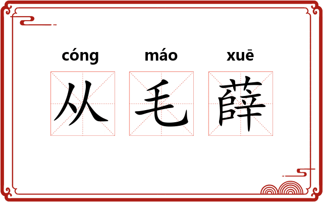 从毛薛