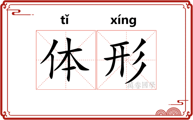 体形
