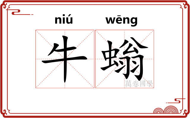 牛螉