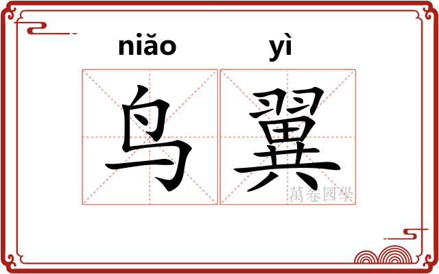 鸟翼
