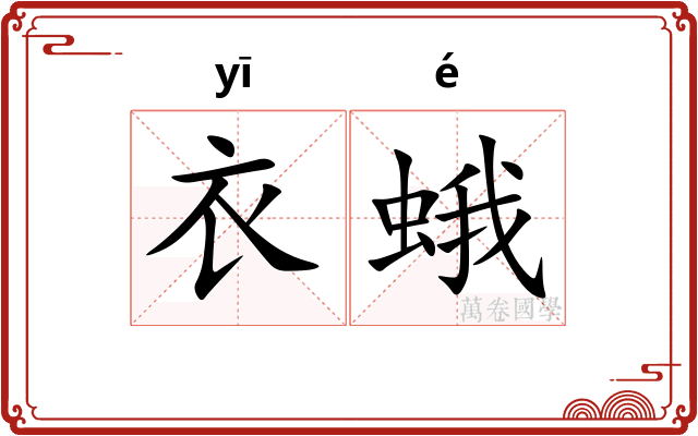 衣蛾