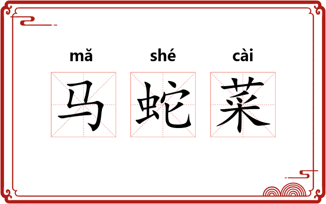 马蛇菜
