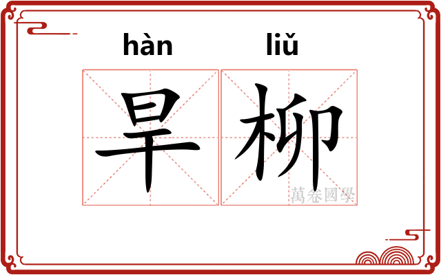 旱柳