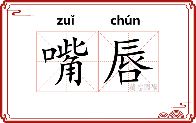 嘴唇