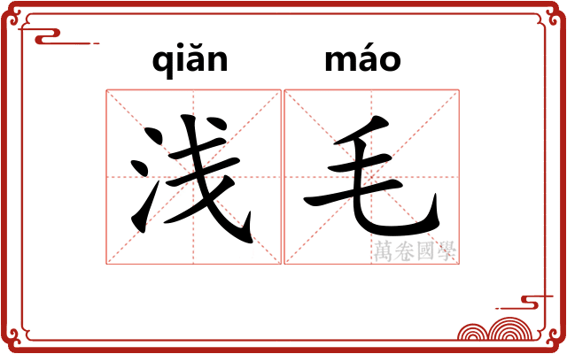 浅毛 浅毛
