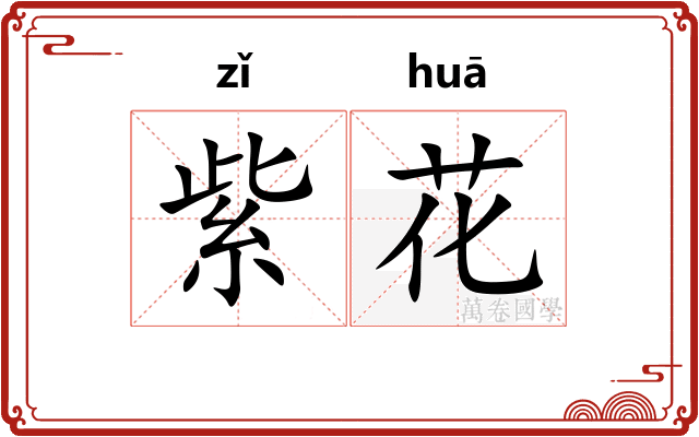 紫花
