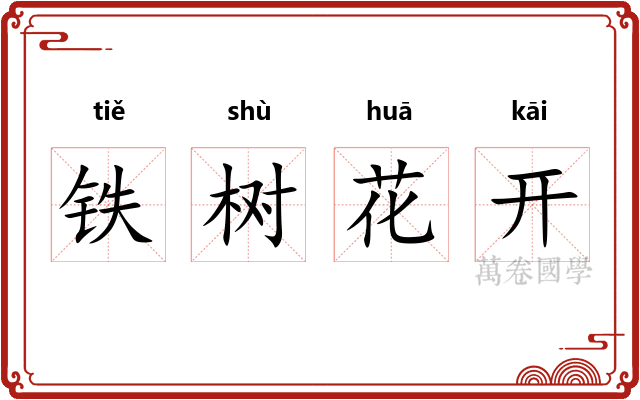 铁树花开