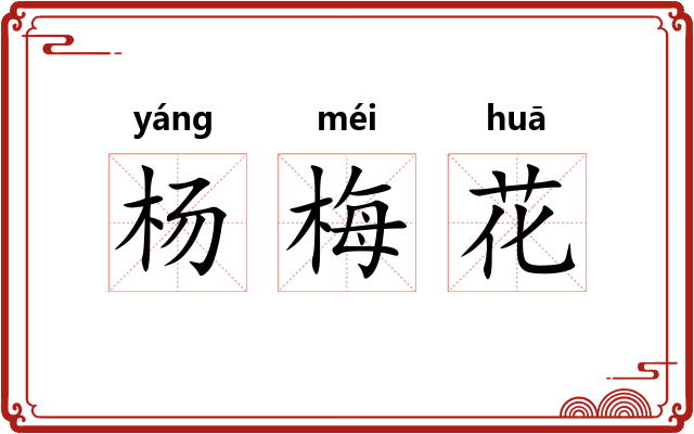 杨梅花 杨梅花