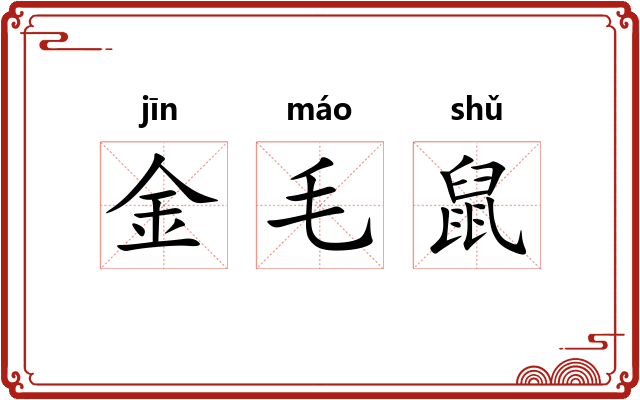 金毛鼠