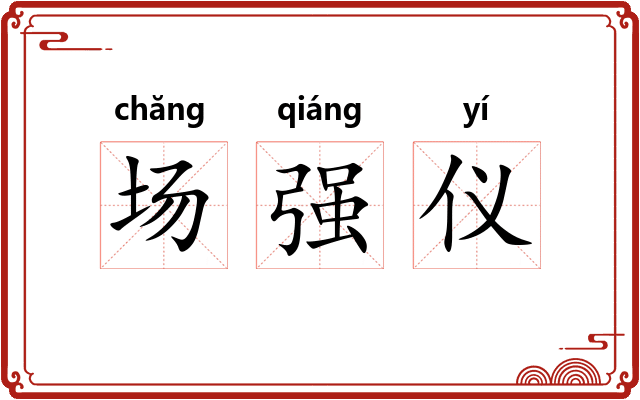 场强仪