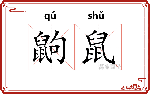 鼩鼠